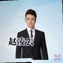 赵凌云